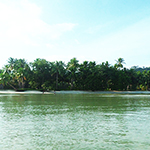 Pamuayan, Palawan Island
